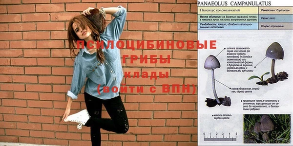 ПСИЛОЦИБИНОВЫЕ ГРИБЫ Алексеевка