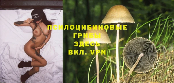 spice Абдулино