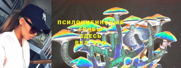 герыч Алексин