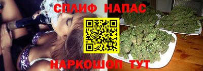 шишки Гусиноозёрск