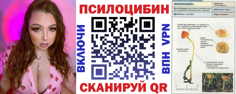 Галлюциногенные грибы Psilocybine cubensis что такое наркотик Котлас